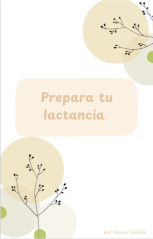 Portada de Prepara tu lactancia